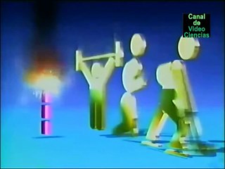 Metabolismo 6: Contracción Muscular y Metabolismo.