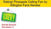 Pineapple Ceiling Fan By Ellington Fans Review Video Dailymotion