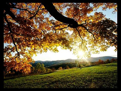 Tumko Dekha To Yeh Khayal Aaya - Jagjeet Singh