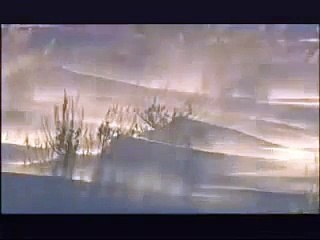 NATURE | Christmas in Yellowstone | Hibernating Bear | PBS