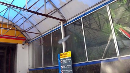 Gardner, MA: Short Tunnel Car Wash @ Pearson Boulevard Shell
