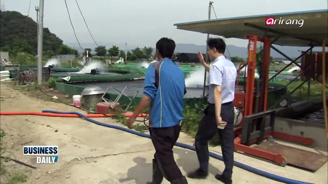 Drought crisis in Korea