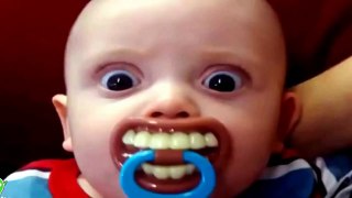 Whatsapp Funny Videos | Best videos 2015 - Animal Babies 2015 | Tombos Funny To Laugh