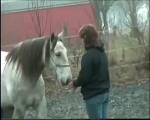 Devoto. Het paard met een gouden randje