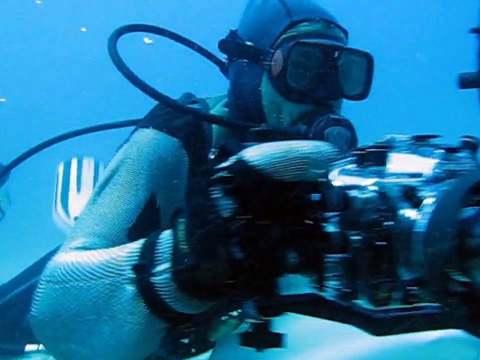Shark Dive with Ocean Explorers, St Maarten