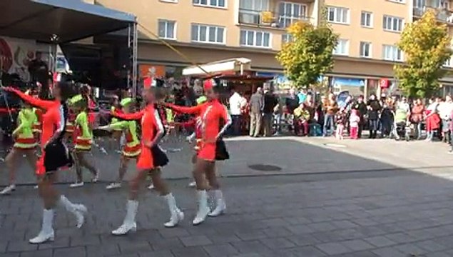 Předvolební akce KSČM v Havířově 14. 10. 2010