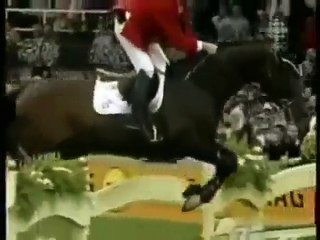 Wild Horses Music Video