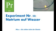 Experiment Nr. 49: Natrium auf Wasser
