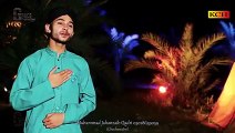 Ramaz Aya New Ramzan Album Promo [2015] Muhammad Jahanzaib Qadri - Best Naat Album 2015