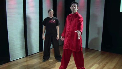Beginning Kung Fu Combos : Kung Fu Combos: Monkey Stance, Palm Chop & Arm Throw