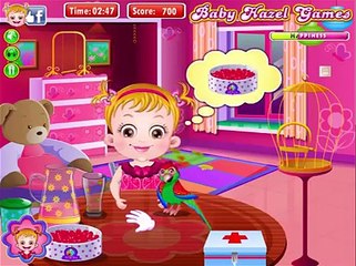 baby hazel parrot care