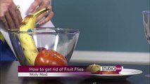 Studio10: Getting rid of fruit flies - Molly Maid