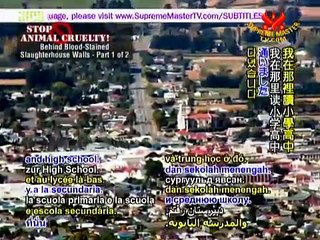 07 26AW1776ストップ動物虐待 血塗られた屠殺場の壁の内側 １／２