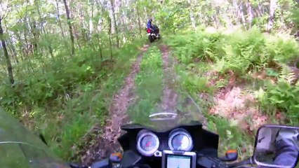 SV650 VS V-strom 1000