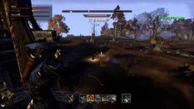 The Elder Scrolls Online: Tamriel PS4 PvP Gameplay