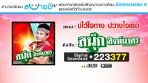 บ่ไว้ใจทาง บ่วางใจเธอ  - สนุ๊ก สิงห์มาตร อาร์ สยาม [Official Audio]