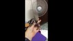Un phalanger volant devant un ventilateur : animal trop mignon