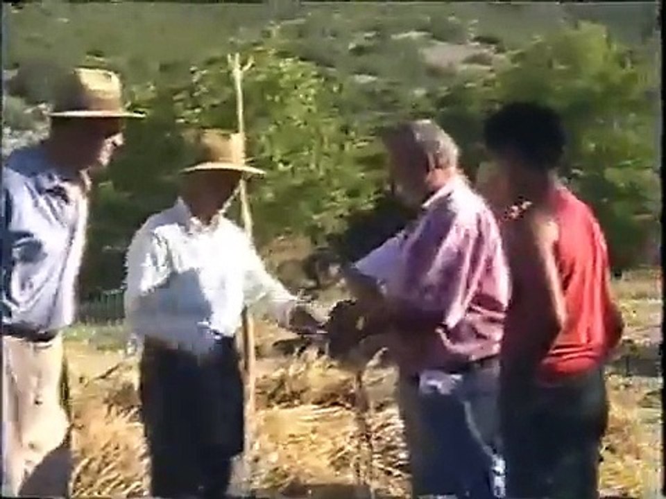 ΠΑΡΑΔΟΣΙΑΚΟ ΑΛΩΝΙΣΜΑ ΣΤΗΝ ΚΕΡΤΕΖΗ ΚΑΛΑΒΡΥΤΩΝ