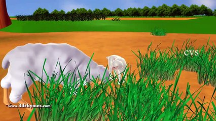 Little Boy Blue - 3D Animation English Nursery rhyme for children