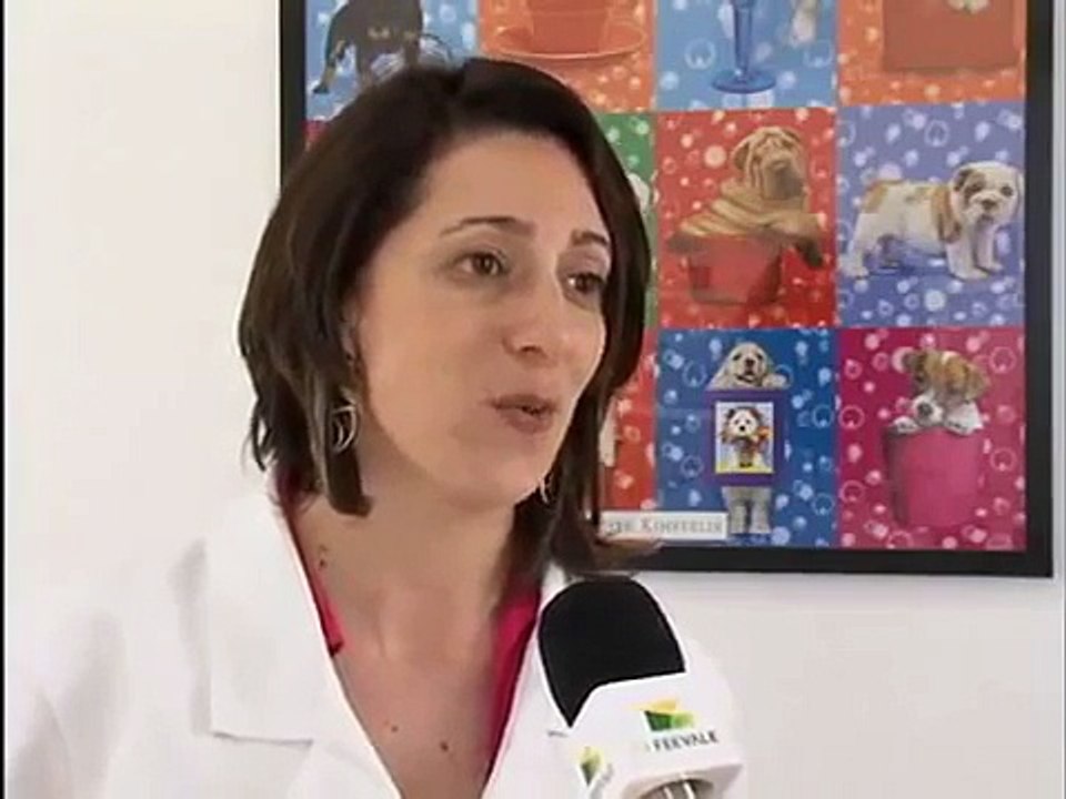 TV Feevale - TV Feevale Notícias - Bloco Pet - Basset Hound