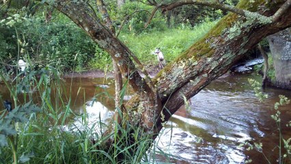 allez tout le monde a l'eau