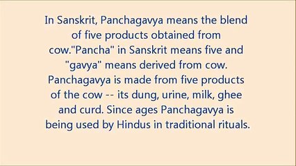SAVE THE HOLY COW- Use Panchagavya products