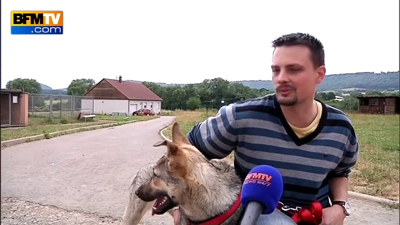 Abandons d’animaux: avant les vacances, la SPA se mobilise