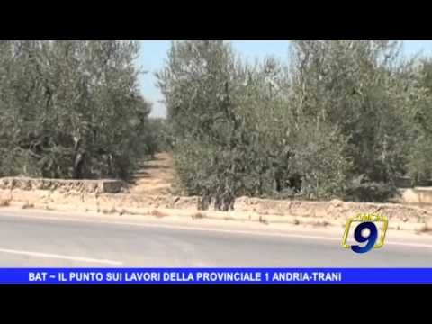 BAT | Il punto sui lavori della provinciale Andria-Trani