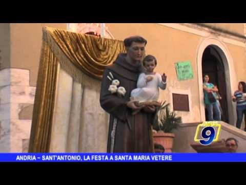ANDRIA | Sant'Antonio, la festa a Santa Maria Vetere