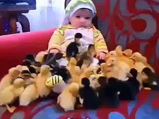 Ördek Yavruları ve Bebeğin Sevimli Anları