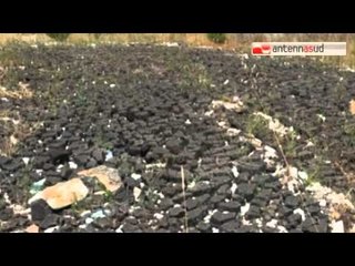 TG 09.06.15 Ambiente, a Trani lo spettro della Terra dei Fuochi