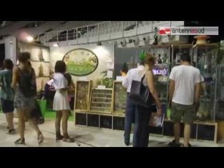 TG 08.06.15 Cannabis terapeutica, a Bologna la fiera specializzata