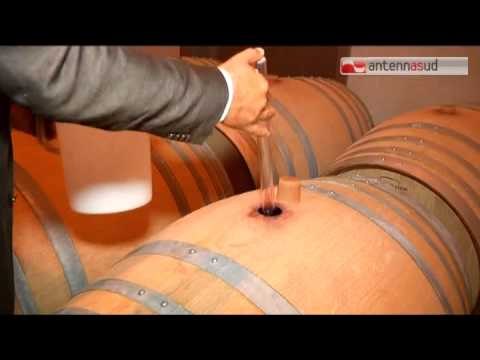 TG 28.05.15 Cantine aperte, domenica al via con il Movimento Turismo del Vino