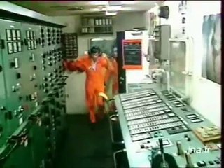 le chasseurs de tempête abeille Flandre