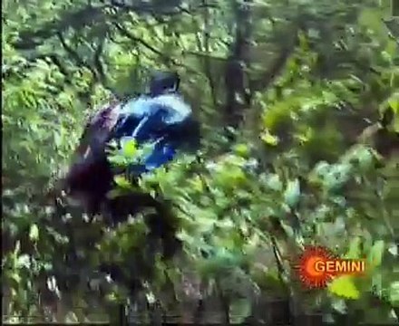 20150620-230023-60_2