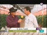 Produccion de Hortalizas en Invernaderos en Moctezuma SLP