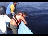 Walvis gered van visnet