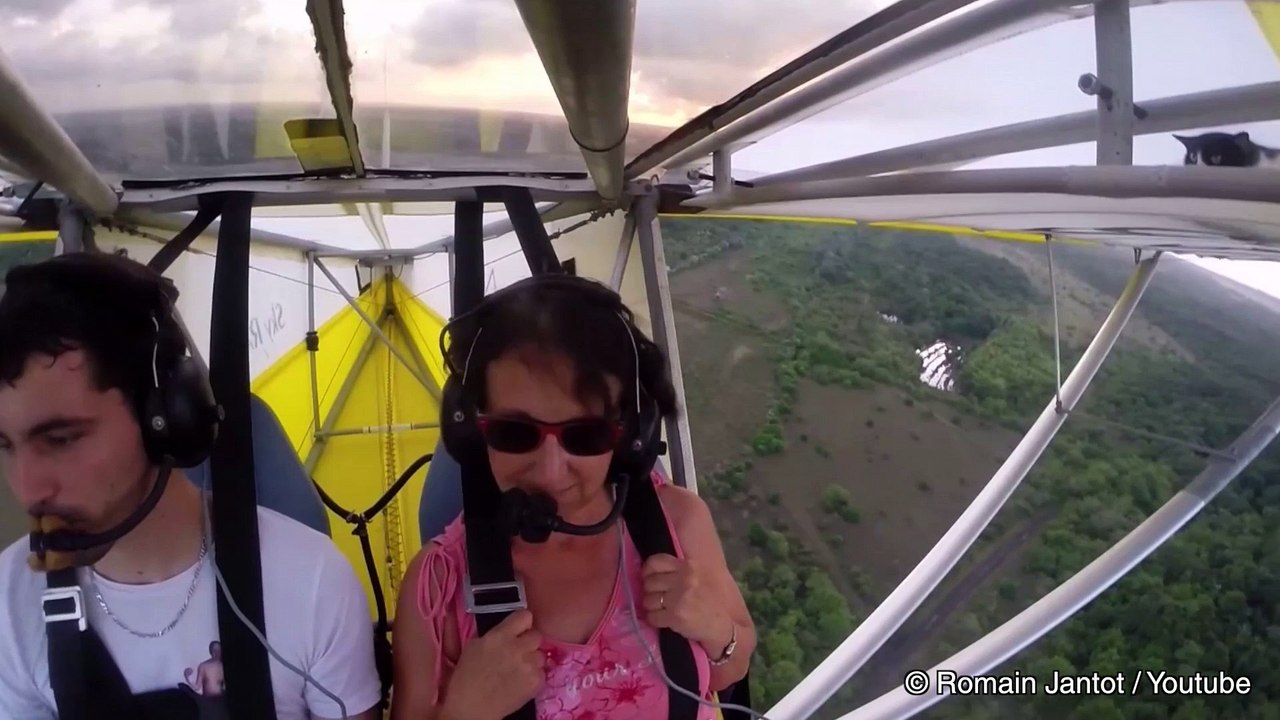 Insolite: un chat perché dans les ailes d'un ULM en vol
