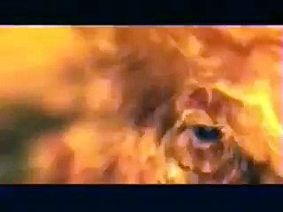 ESCAPANDO DO INFERNO - O FILME - 7/8