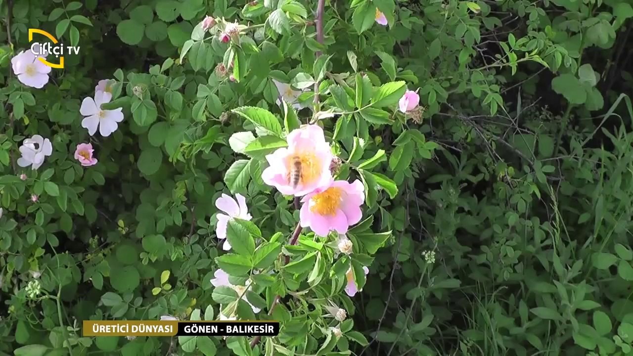 ÜRETİCİ DÜNYASI - 9 BÖLÜM