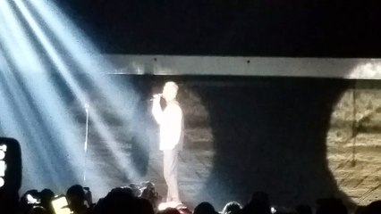 Concert RED Tour M pokora Paris Zenith 13 juin (5)
