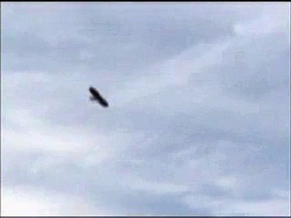 Oiseau rc / Rc Glider (bird)