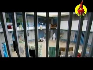 من جوا الزنزانة سمعتك يا ابني تناديني- ميس شلش