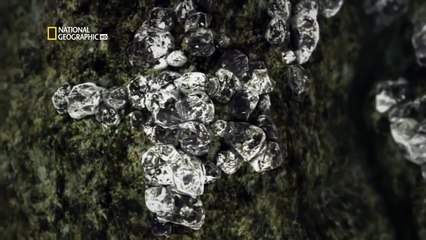 How Diamonds are Formed