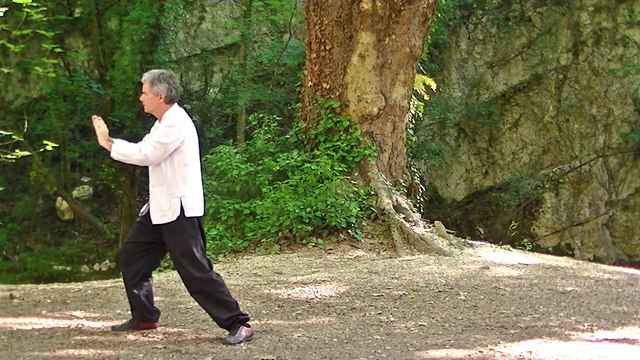 Tai-Chi-Chuan: cycle de la terre, extrait du grand enchaînement