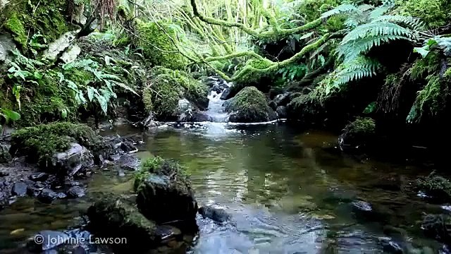 MÚSICA DE RELAX Y MEDITACION, ZEN, TAI CHI, FENG SHUI , ZEN RELAXATION MUSIC