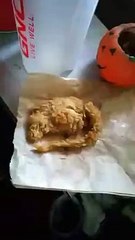 Rat frit dans une boîte de nuggets KFC