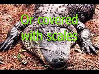 Endangered Animals Share Our Earth