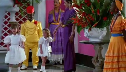 Wild Orchid, It Only Has to Happen Once.