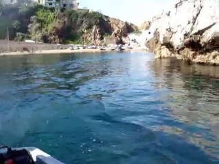 pêche dorade à jean bart, alger.wmv